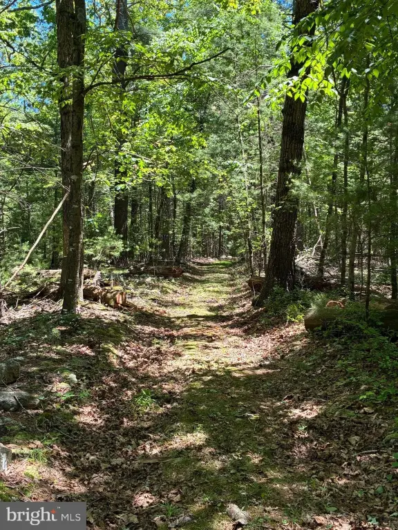 Picture 22