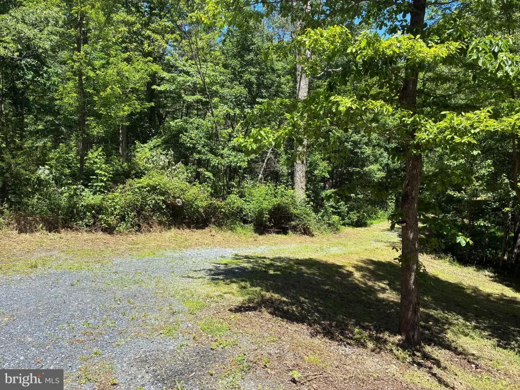 Picture 18