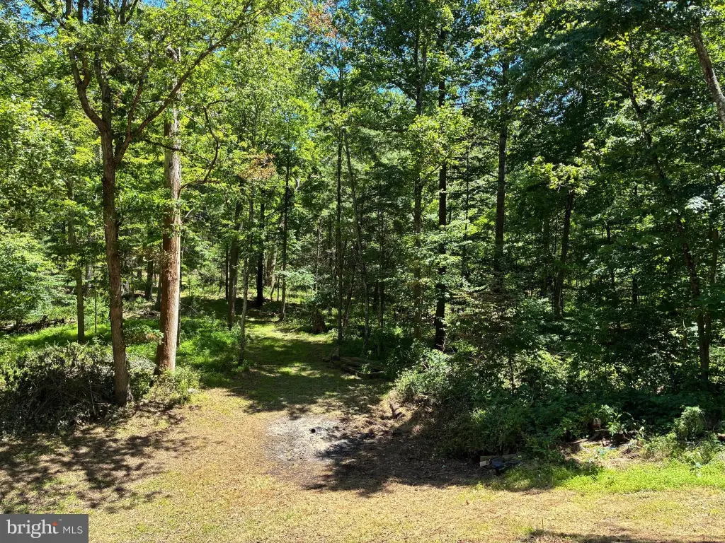 Picture 23
