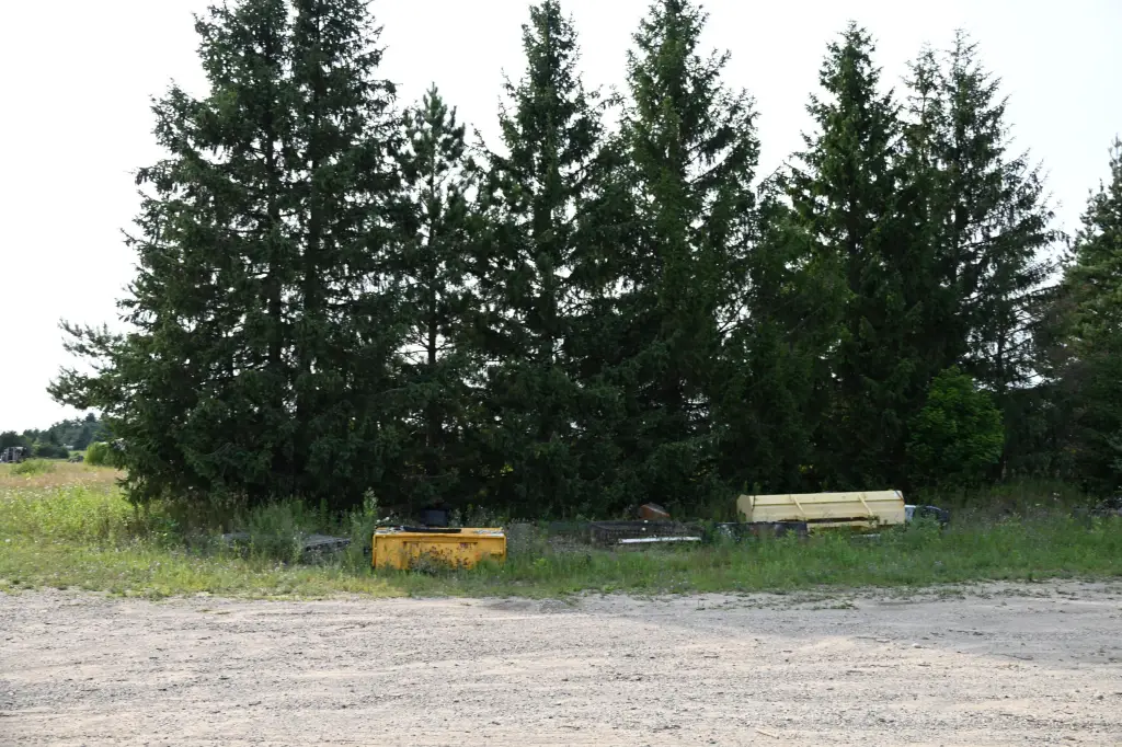Picture 13