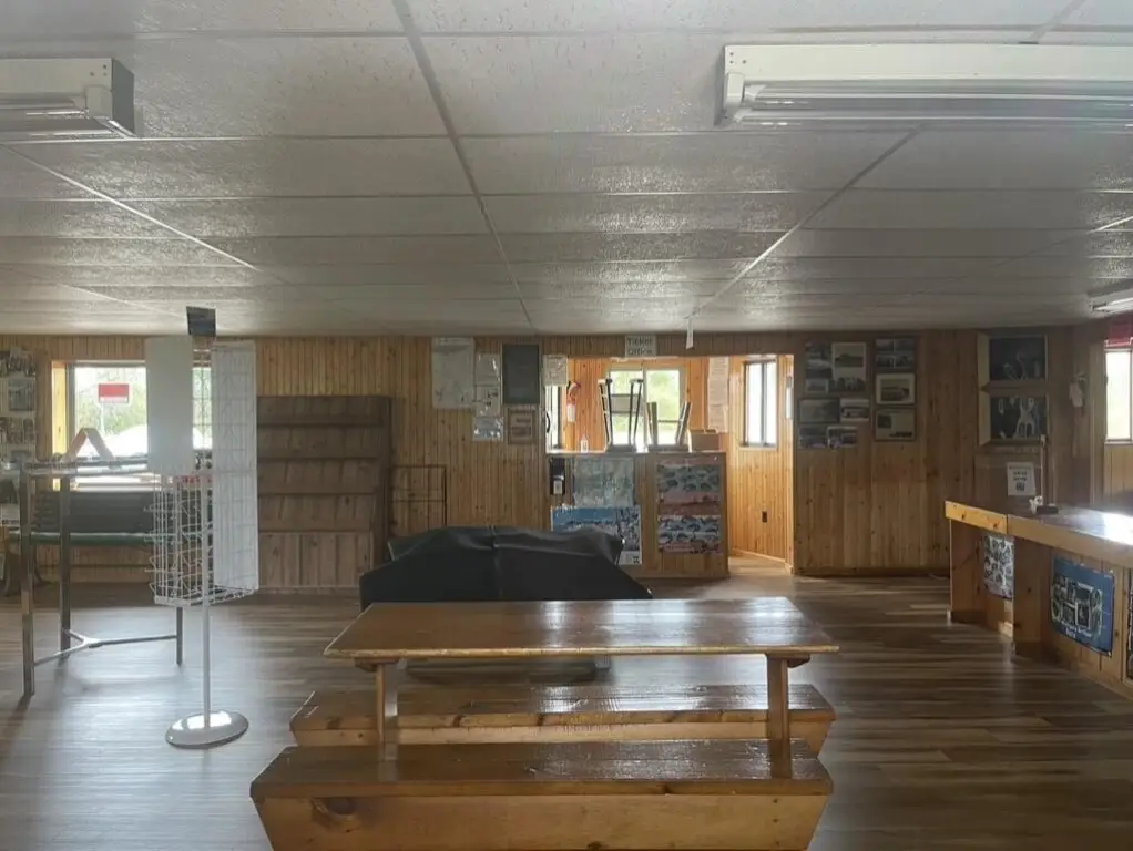 Picture 5