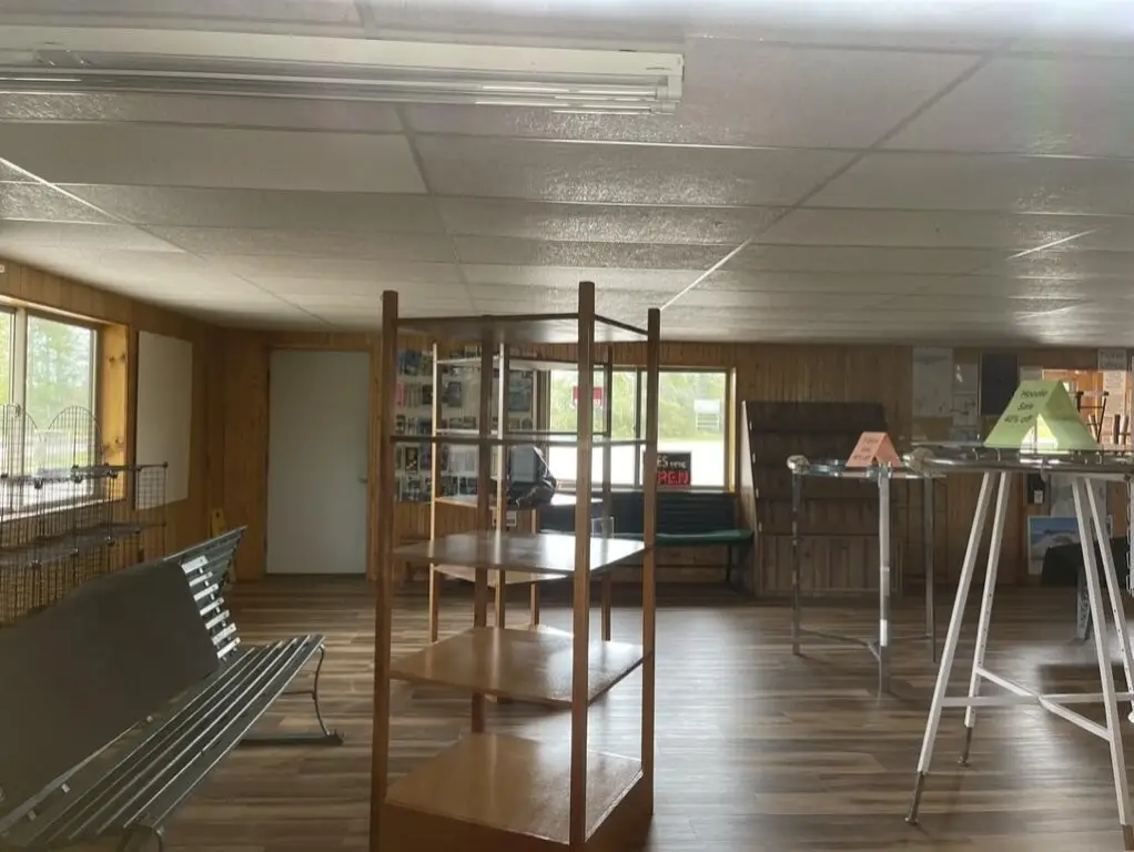 Picture 6