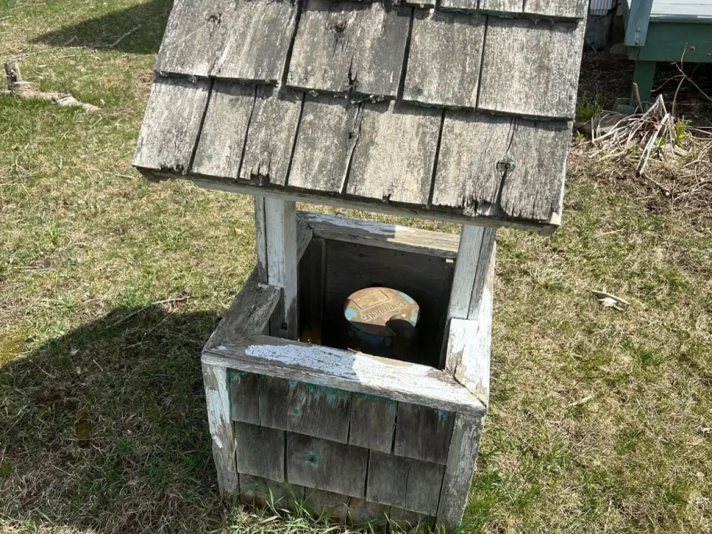 Picture 19