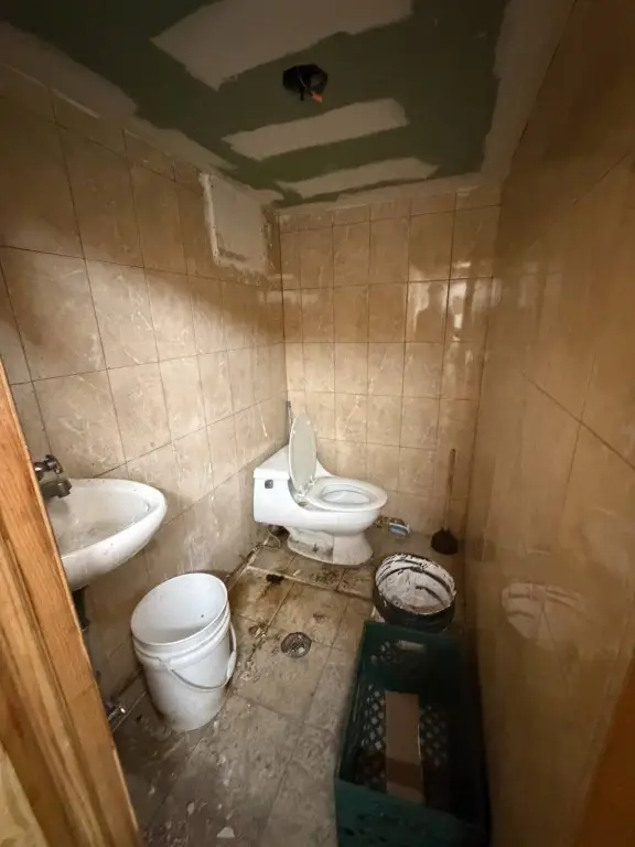 Picture 11