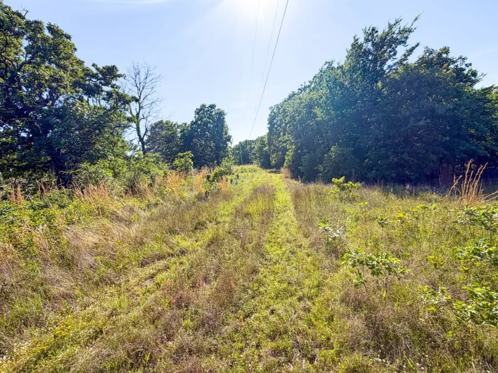 Picture 46