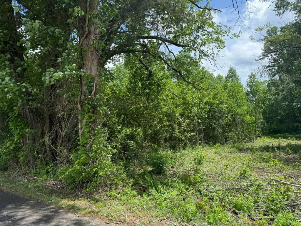 Picture 6