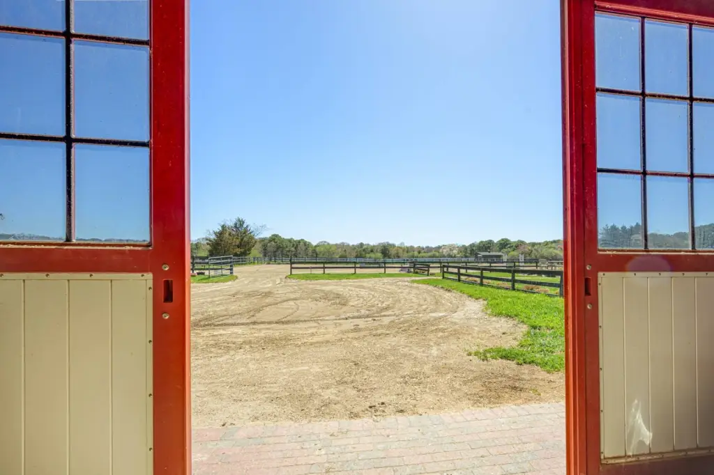 Picture 22
