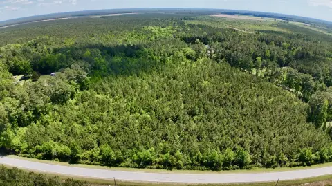 Hunting Land with Timber