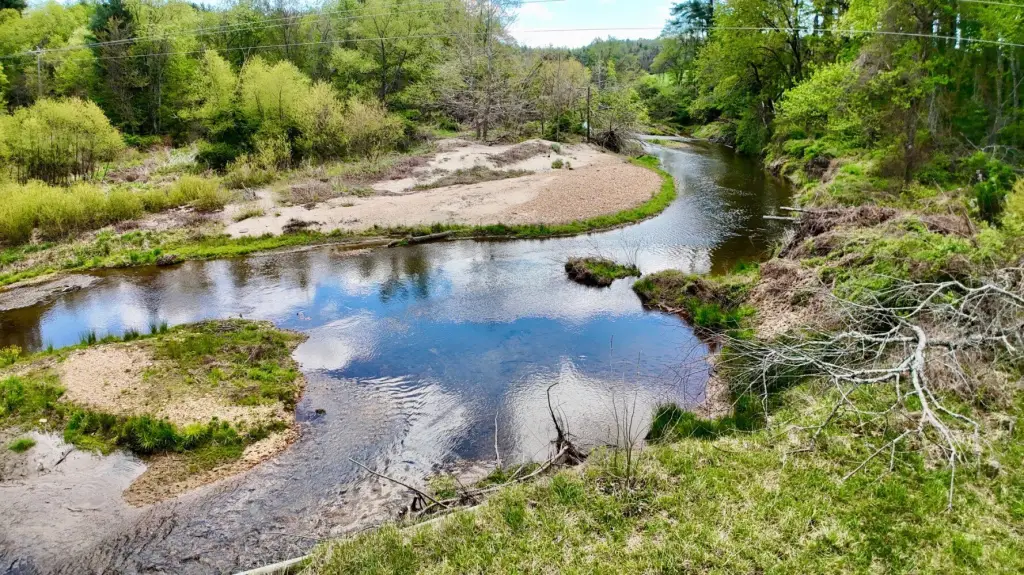 Picture 16