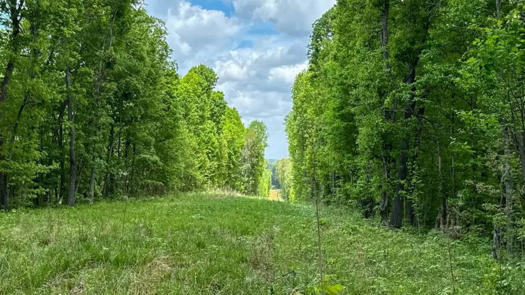 Picture 6