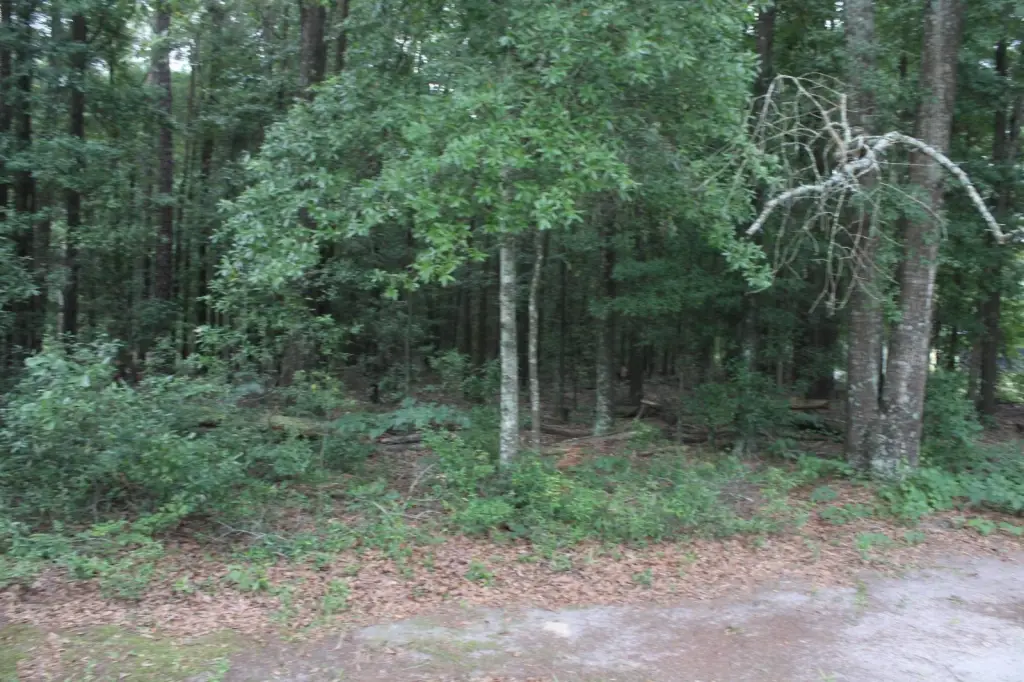 Picture 7