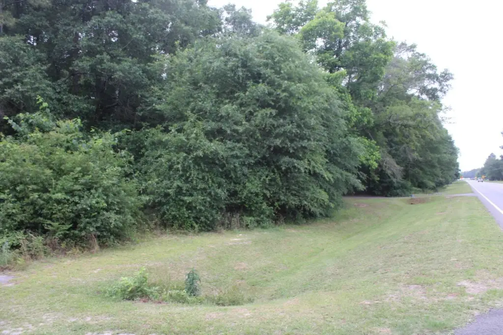 Picture 12