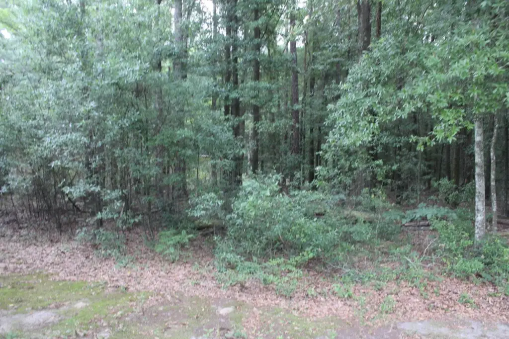Picture 8