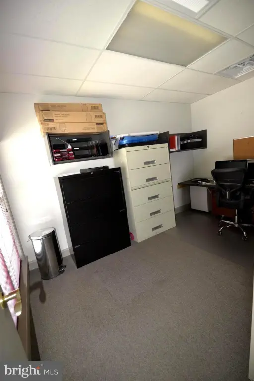 Picture 5