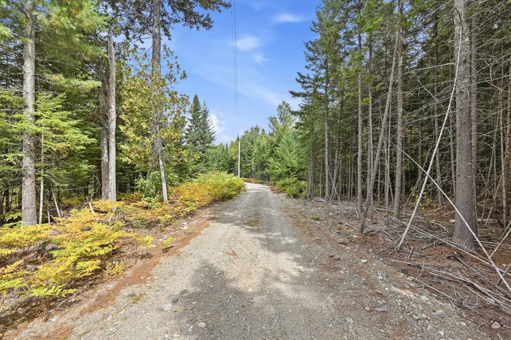 Picture 25