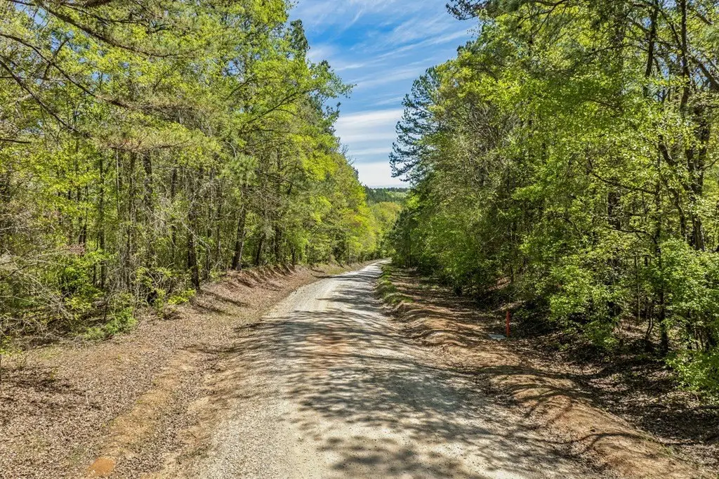 Picture 16