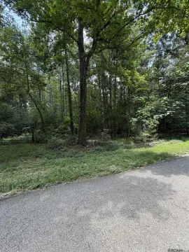 Parish Acreage on Jones Vaughn Creek Rd
