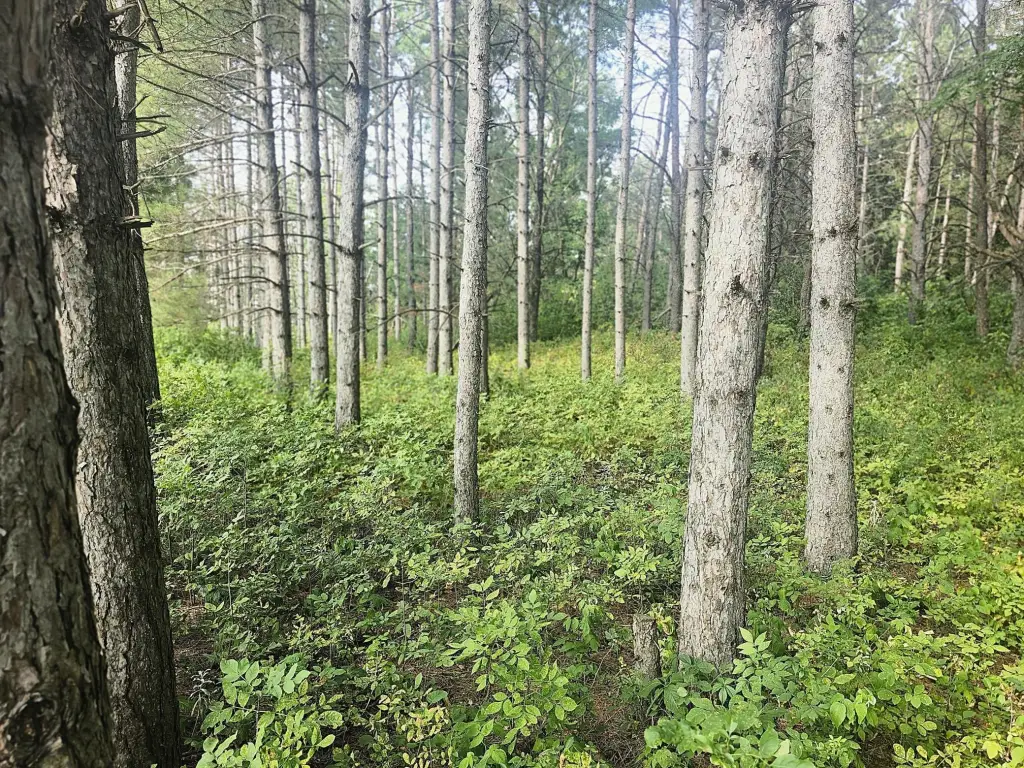 Picture 18