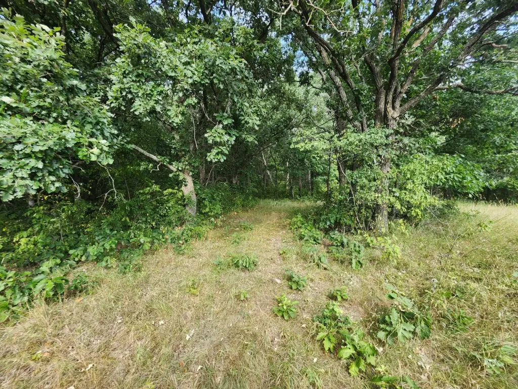 Picture 19