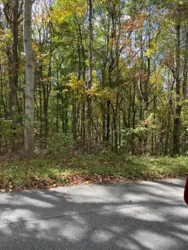 Jewell Ridge Land For Sale