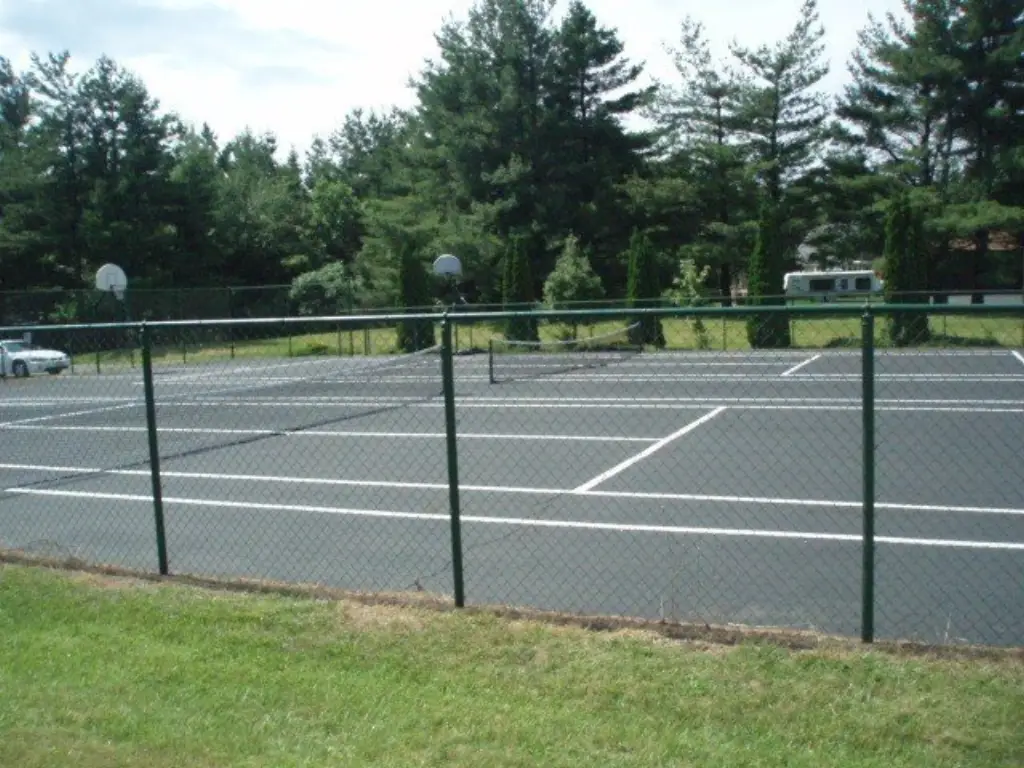 Picture 14