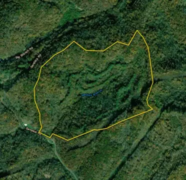 Saint Charles Wooded Land Parcel