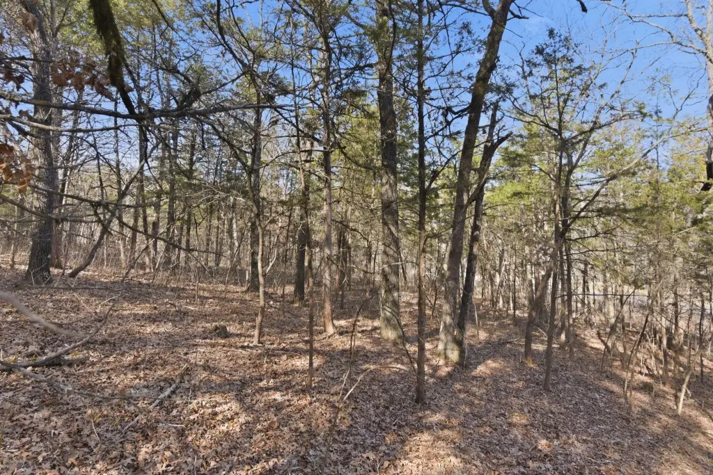 Picture 6