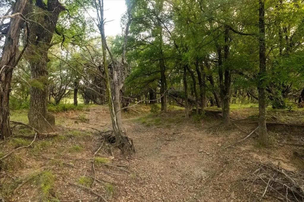 Picture 31