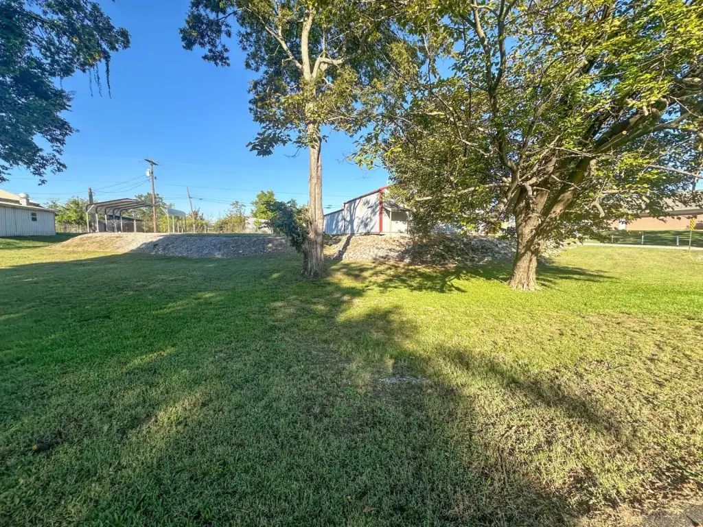 Picture 5