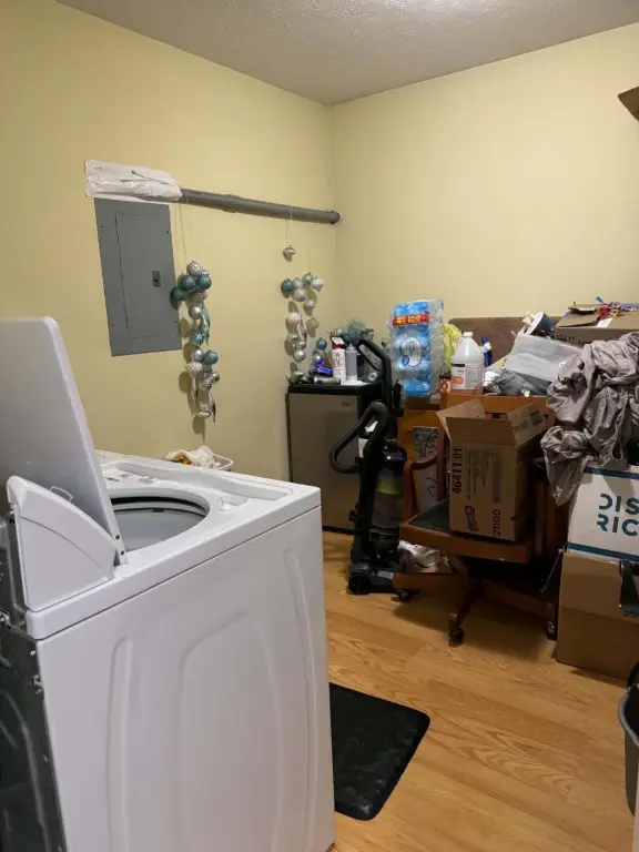 Picture 29