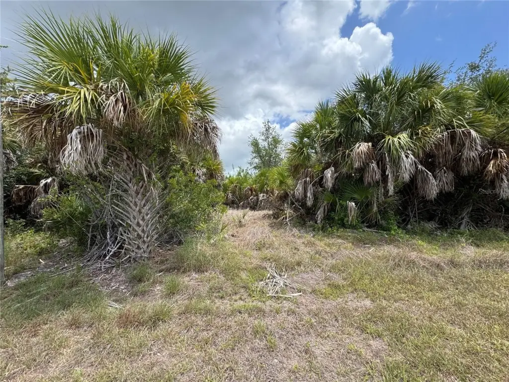 Picture 6