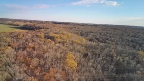 Secluded Hunting Land with Natural Pond