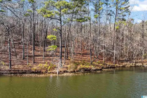 Lake Mitchell Waterfront Acreage