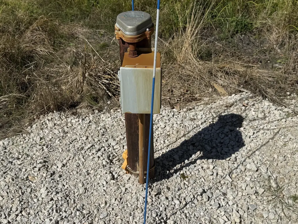 Picture 6