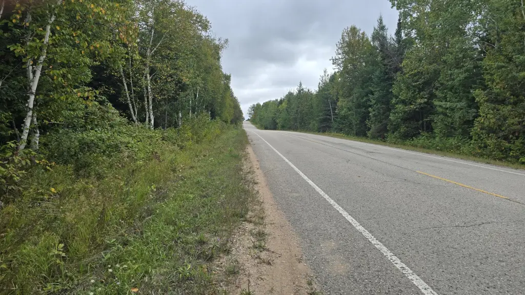 Picture 40