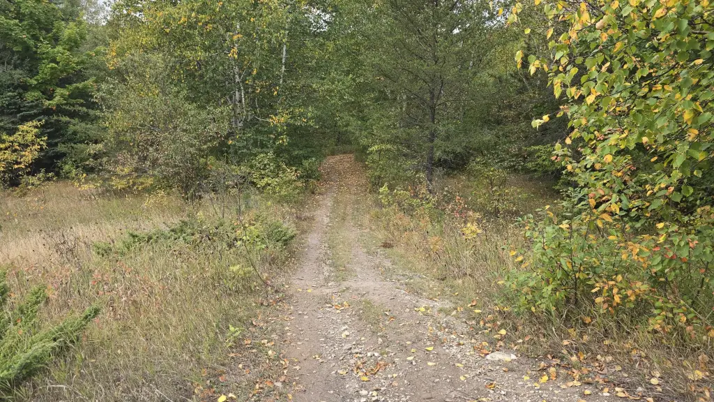 Picture 23