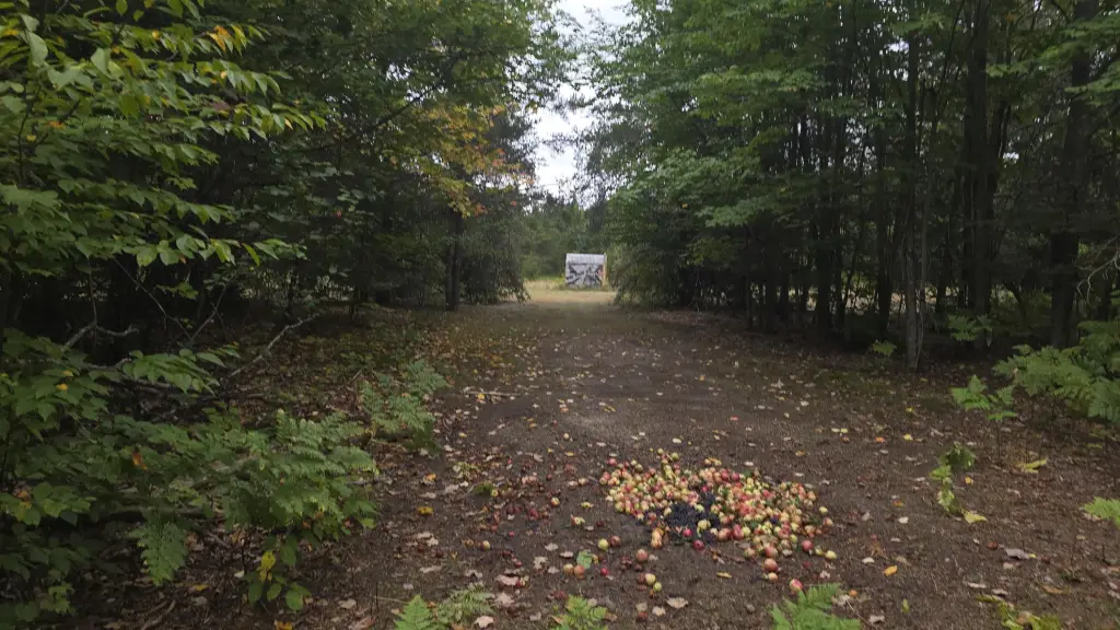Picture 21