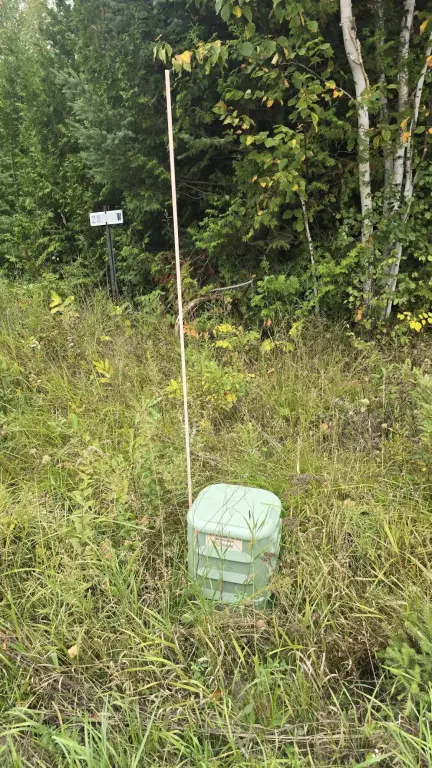 Picture 41