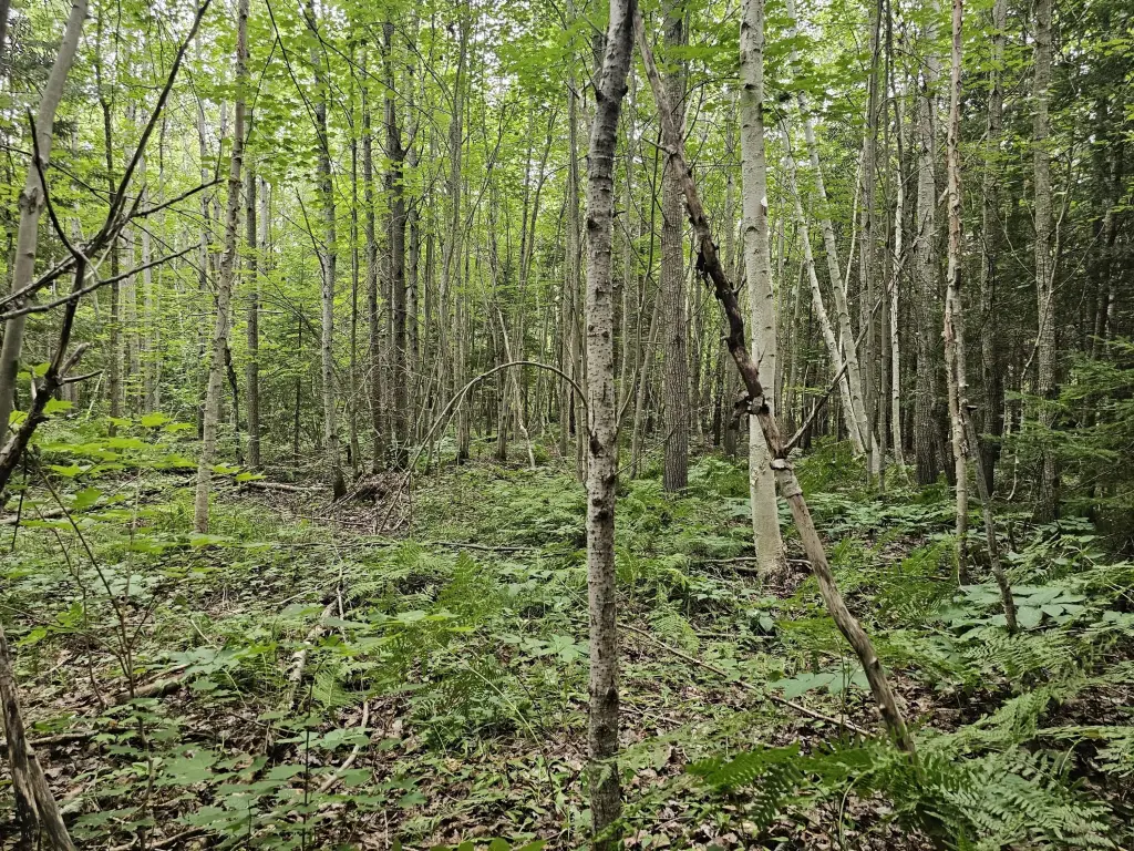 Picture 16