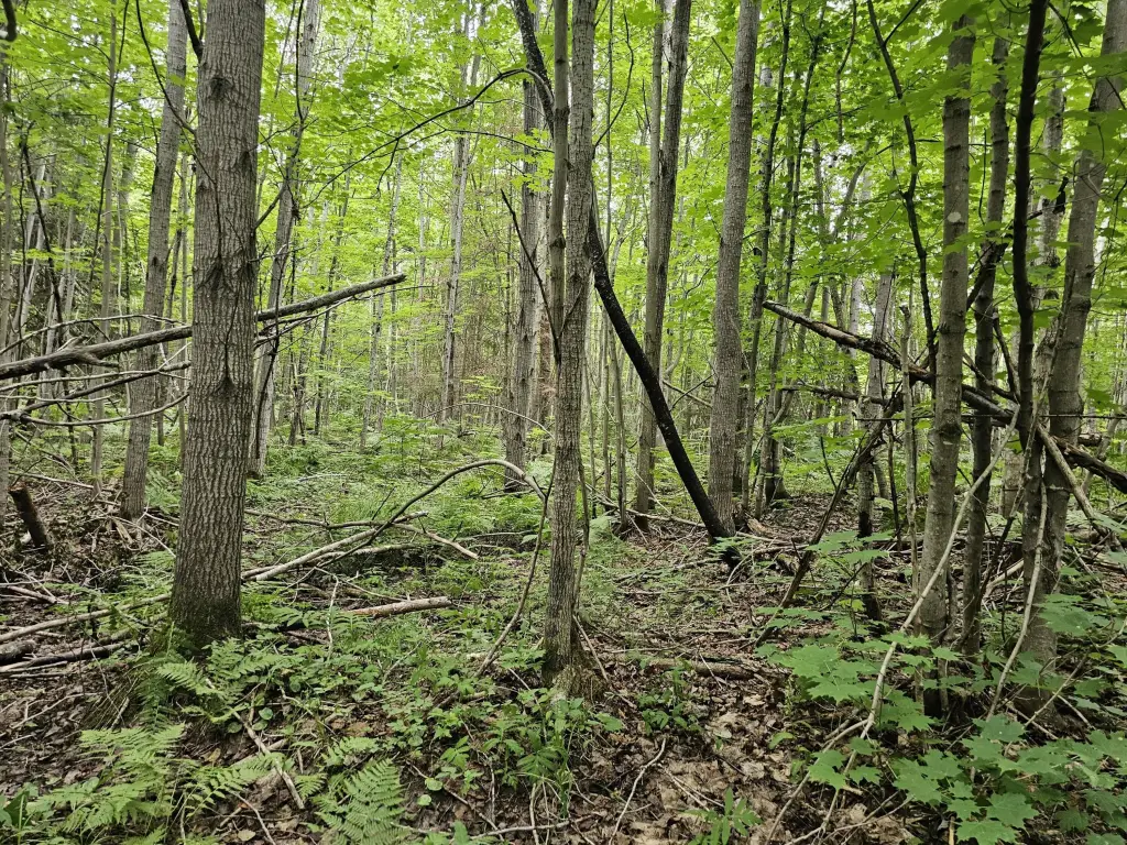 Picture 14