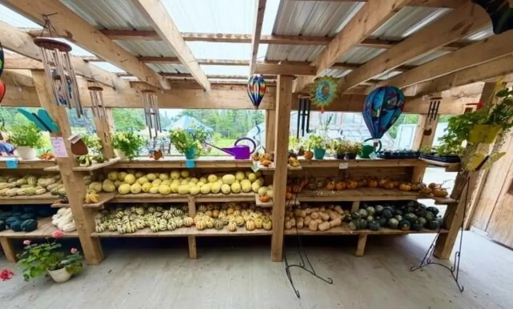 Picture 22