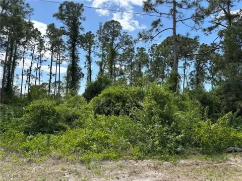 Lehigh Acres Quarter Acre Lot