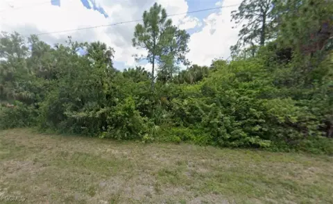 Vacant Lot in LaBelle, FL