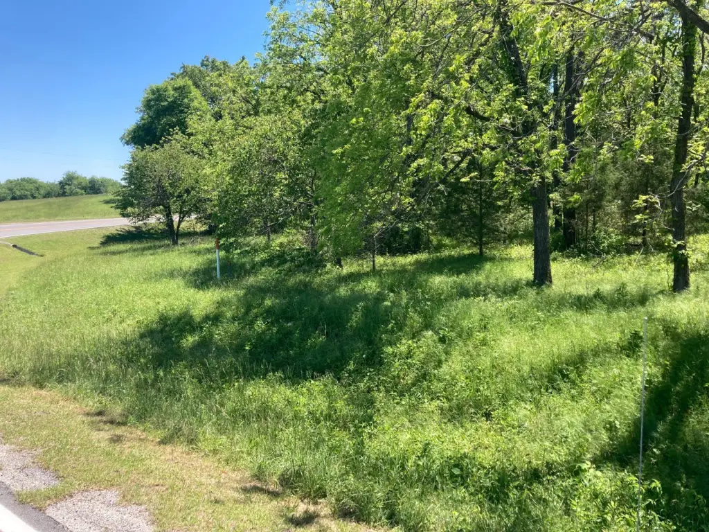 Picture 2
