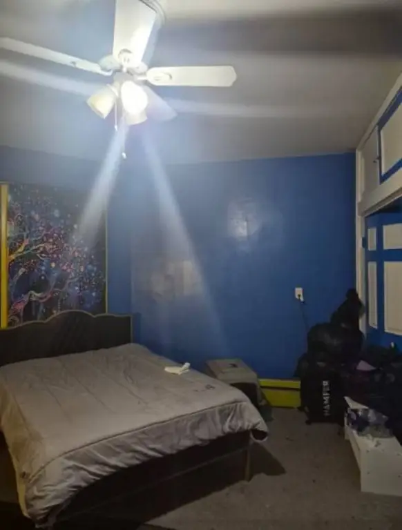 Picture 27