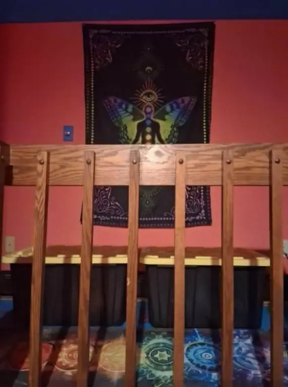 Picture 52