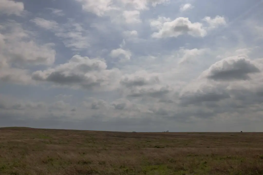 Picture 21