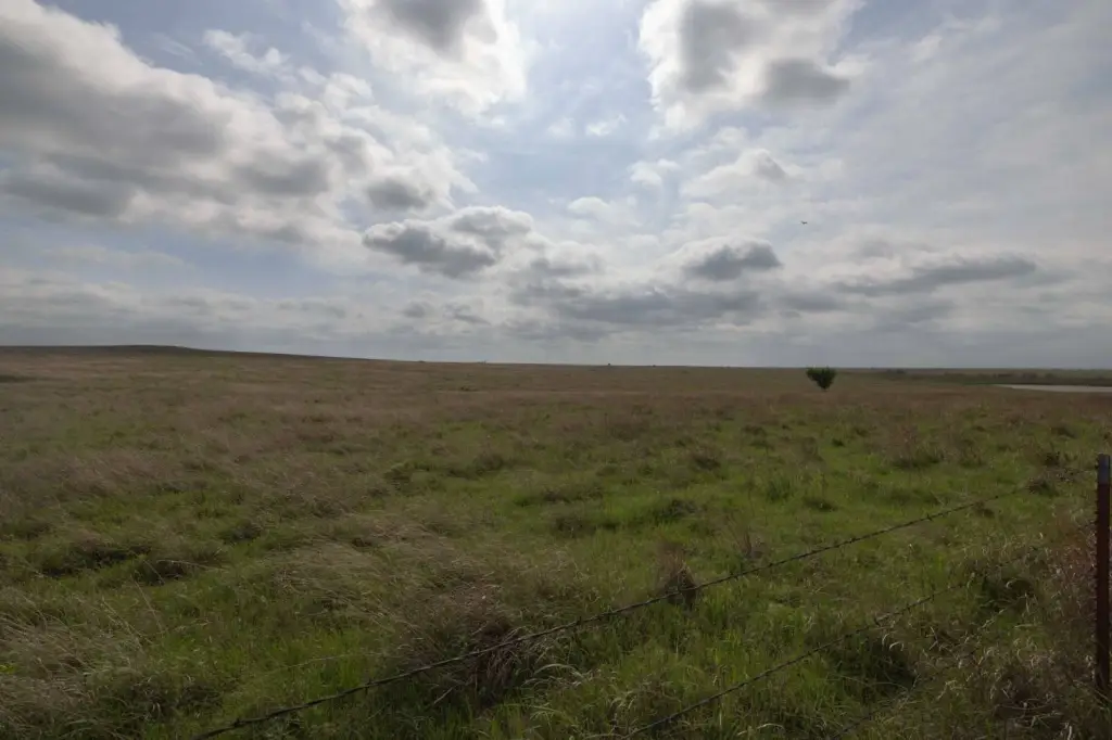 Picture 20
