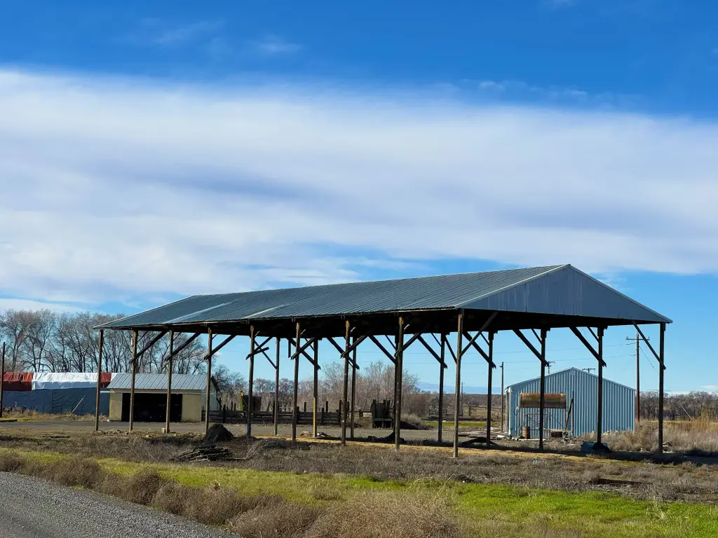 Picture 9