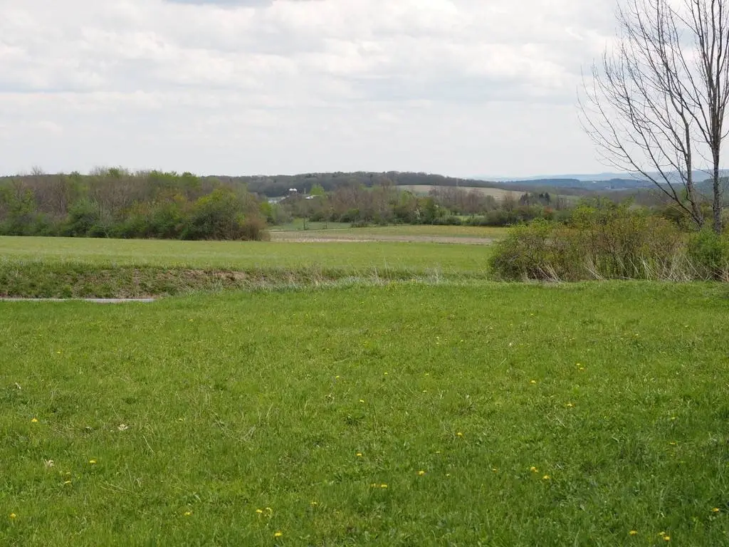 Picture 4